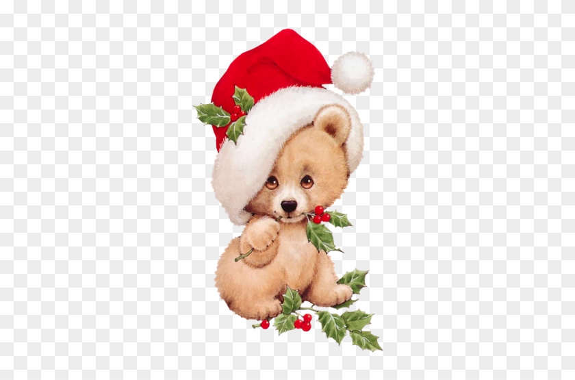 Christmas Bear With Mistletoe Transparent - Christmas Bear Clipart #1216853