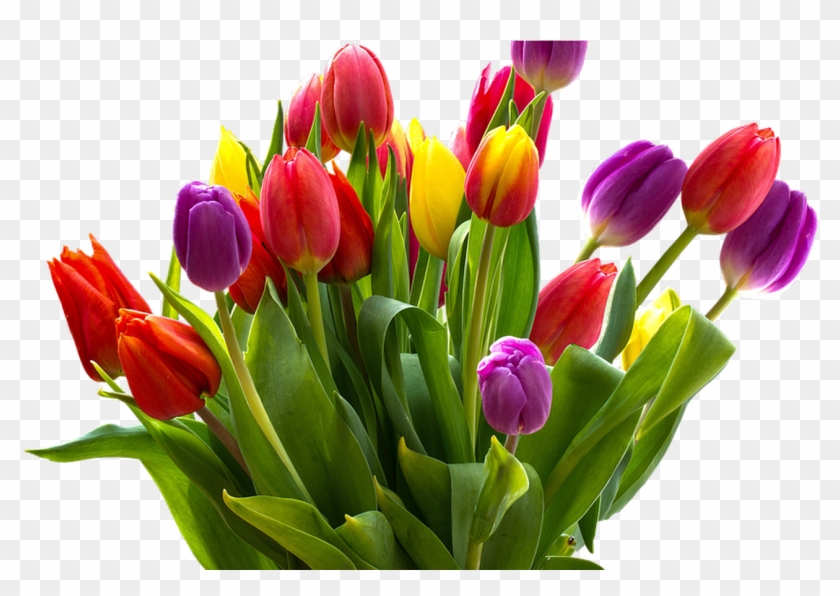 Easter Flower Png 101 Clip Art - ภาพ สุขภาพ ดอกไม้ Png #1217006