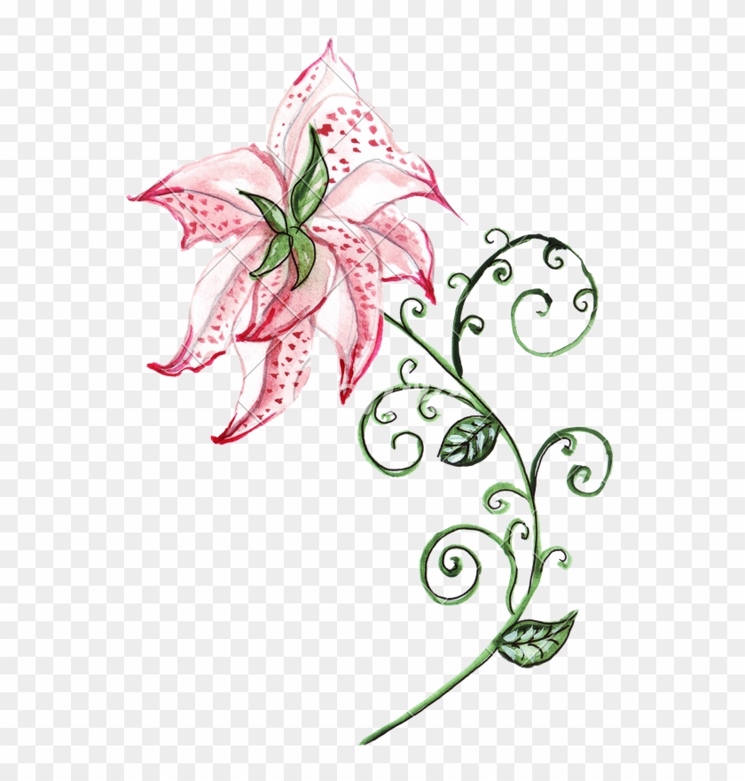 Hand Drawing Of Watercolor Lily Ornament - Drawing #1217040