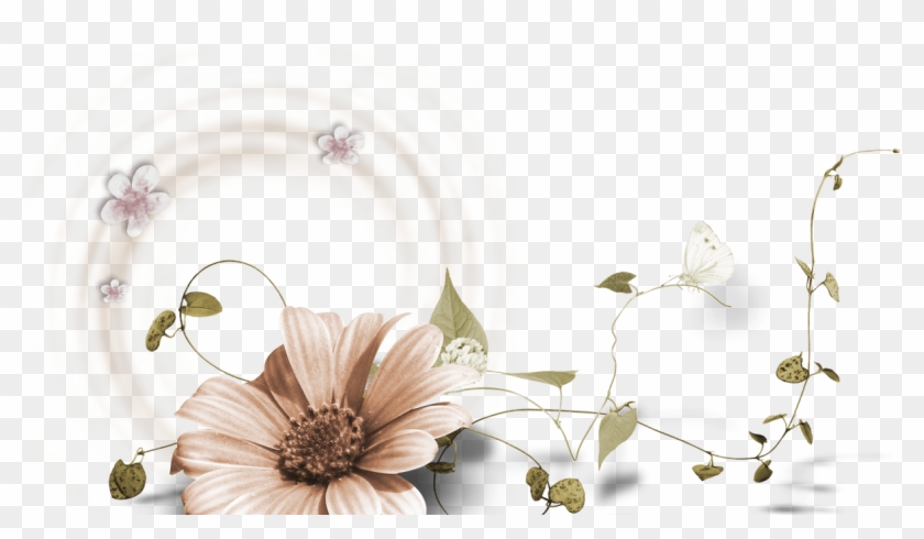 Picture Frames Flower Drawing Flowers Frame 3600*3600 - Flowers Frame Png #1217064