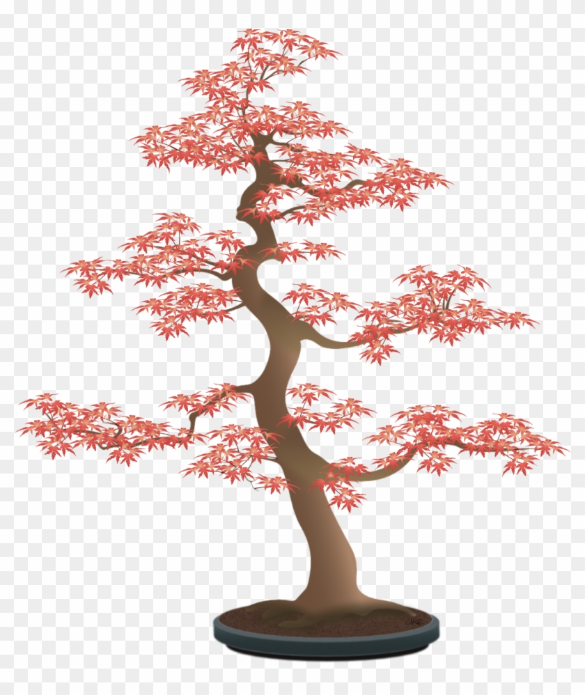 Since The Leaves In The Photo Were Quite Small, I Had - Bonsai Tree Draw Png #1217069