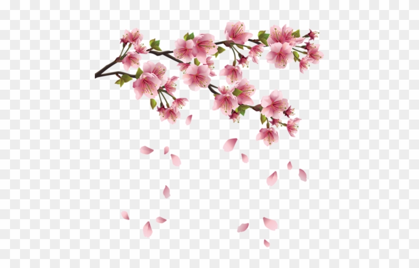 Ranuncula Clipart Cherry Blossom - Cherry Blossom Leaves Png #1217095