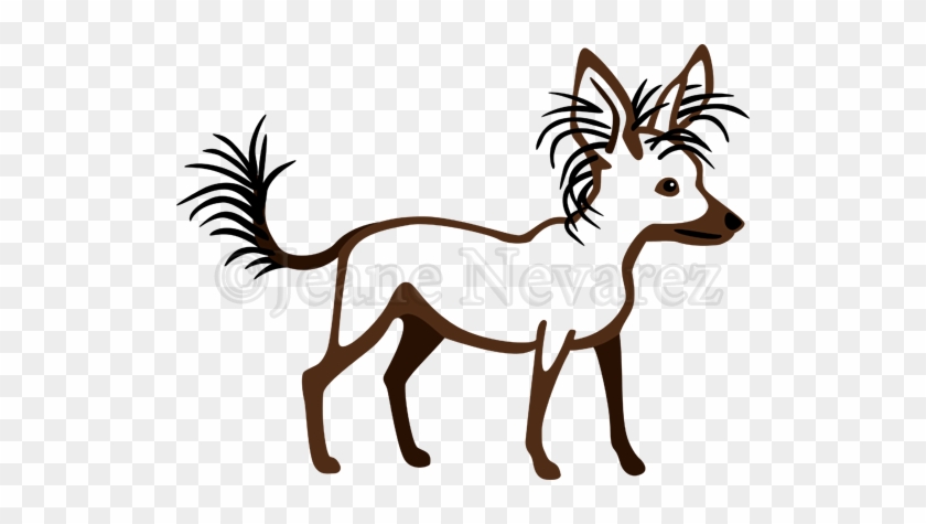 Chinese Crested Dog #1217098