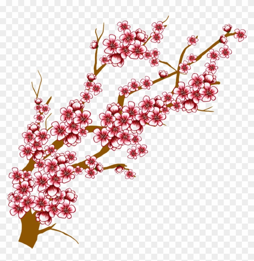 Japanese Flowering Cherry Transparent Background - Cherry Blossom Tree Branch Drawing #1217102