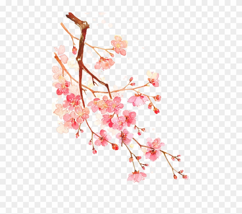 Cherry Blossoms Png - Chinese Beautiful Cherry Blossom Png #1217127