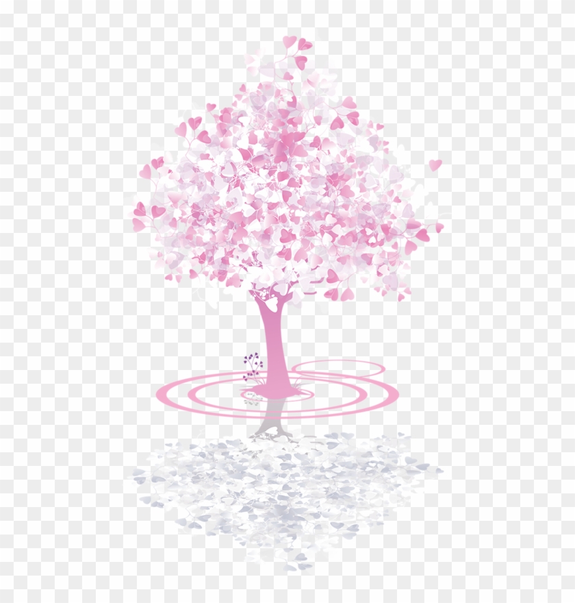 Spring Cherry Trees - Tree #1217129