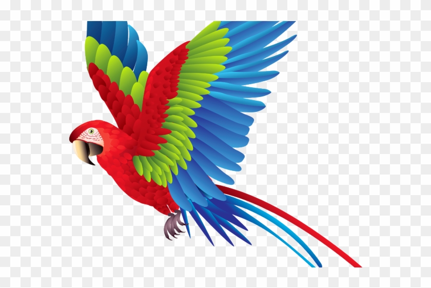 Flying Parrot Clipart - Parrot Clipart #1217133