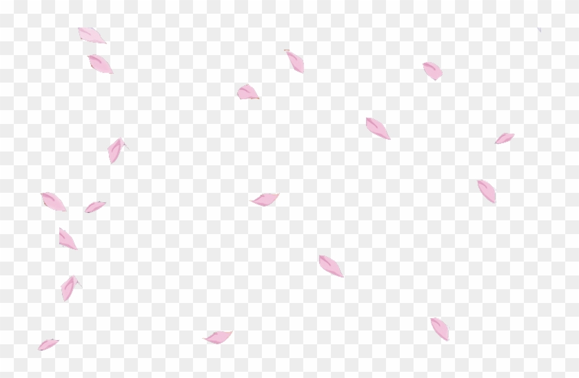 Sakura Petals #1217164