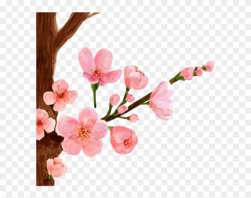 Drawn Cherry Blossom Petal - Peach Blossom Drawing #1217166