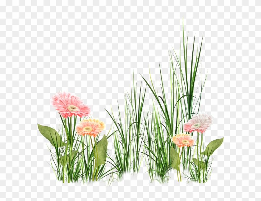 Tubes Fiori In Png Bellissimi Grass Effects Hd Background Free Transparent Png Clipart Images Download