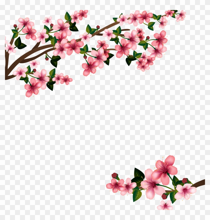 Cherry Blossom Euclidean Vector - Flowers Png #1217209