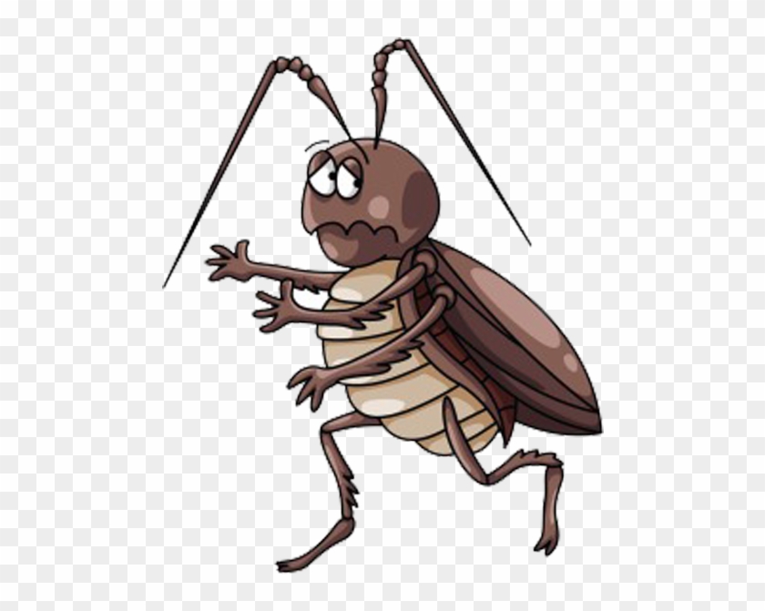 Cockroach Cartoon Clip Art - Cartoon Cockroach #1217509