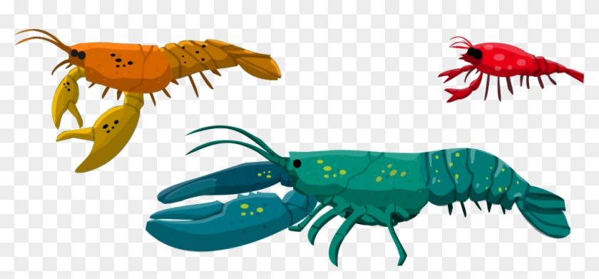 Lobster Rare - American Lobster #1217755