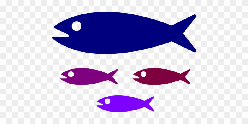 Shoal Fish Fish Family Water Kids Swimming - Small Medium Large Fish #1217788