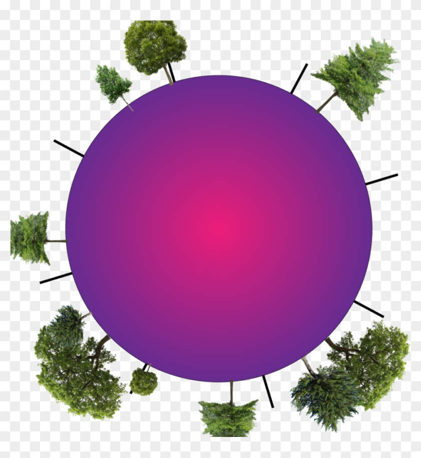 Rollin Road Nr - Le Radici Dell'amore #1217821