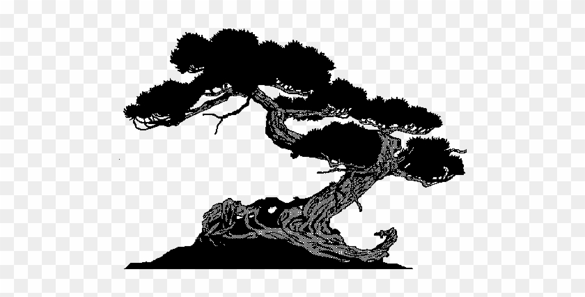 The Gallery For > Bonsai Tree Black And White - Bonsai #1218054