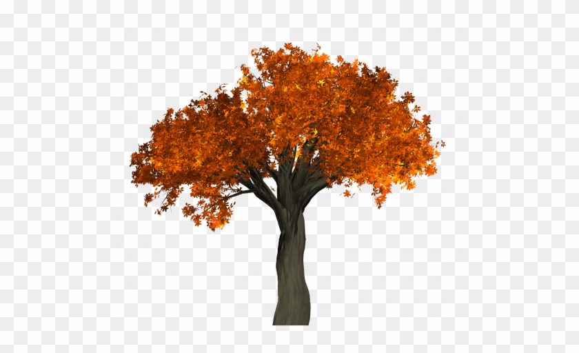 Autumn Tree Png #1218137
