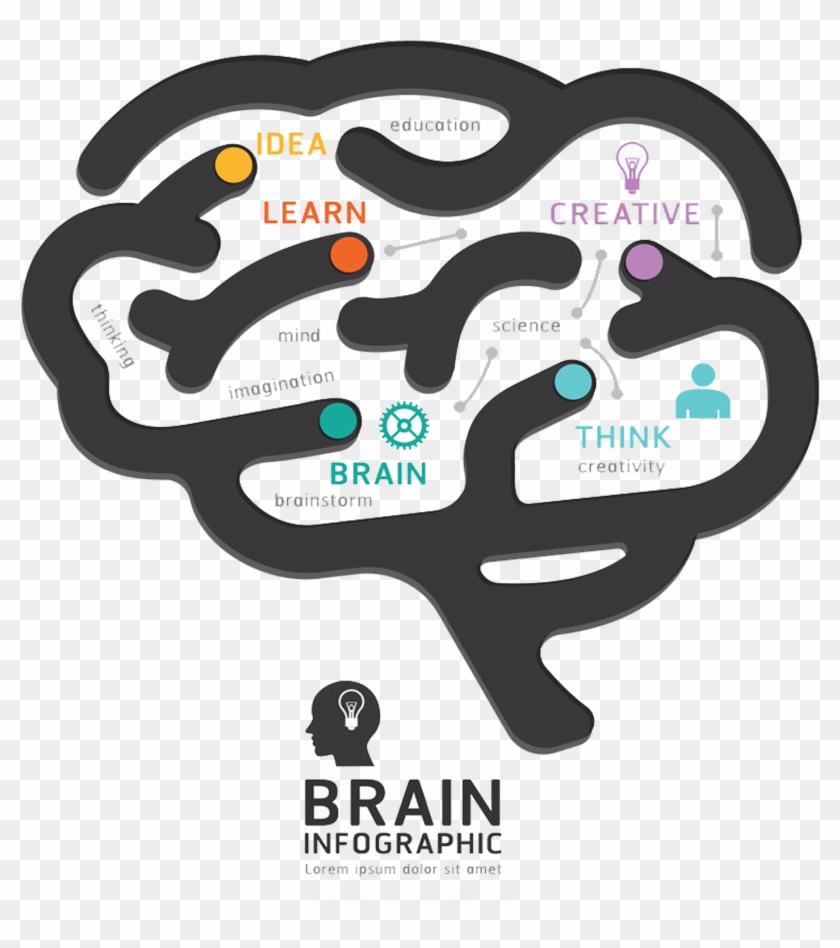 Human Brain Graphic Design Diagram - Design #1218227