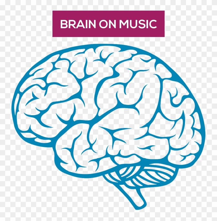 Boosted Capacity Of Structural And Functional Plasticity - Brain Png #1218311