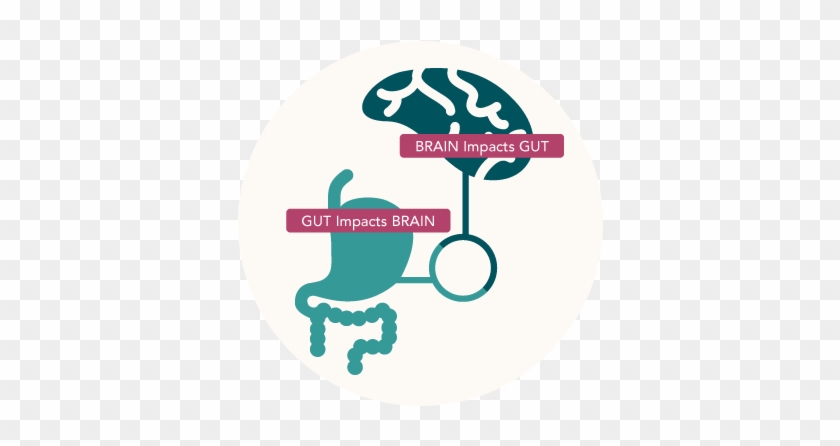 Follow Us On Facebook And Twitter - Gut Connected To Brain #1218335