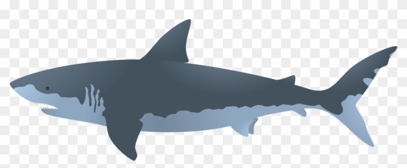 Great White Shark Bull Shark Clip Art - Great White Shark Vector #1218743