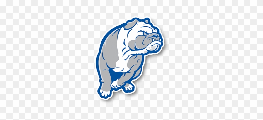 Phoenix Design Works Creates Mascot Branding Marks - Drake Bulldogs Flag 3x5 #1218872