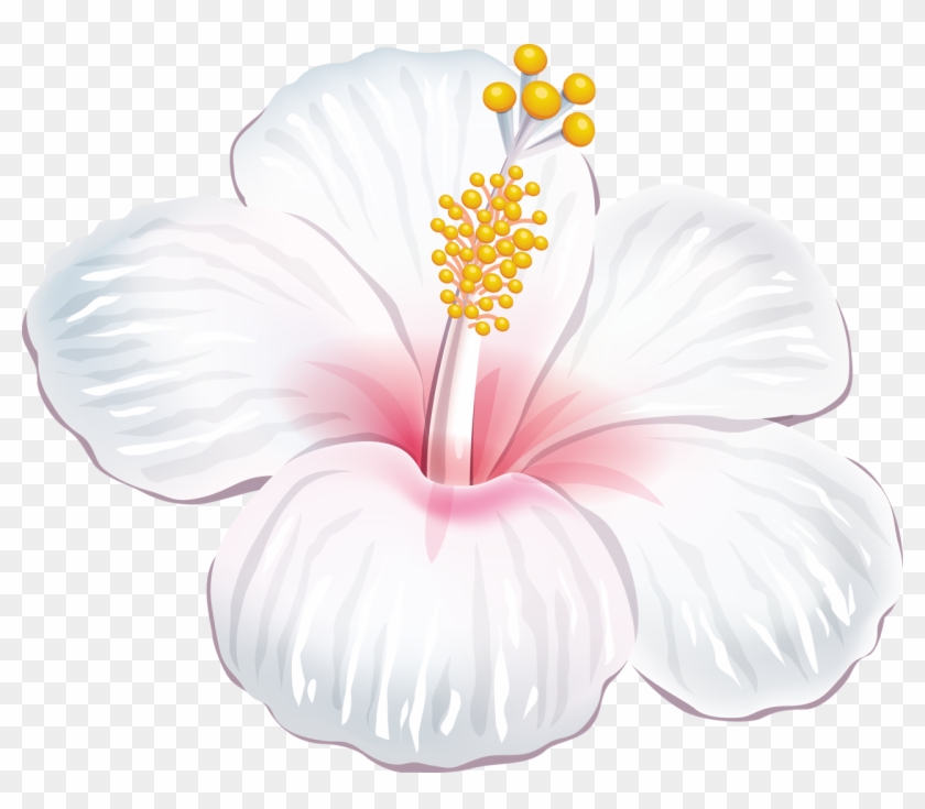 Tropical - Cafepress White Hibiscus Iphone 6 Slim Case #1219136