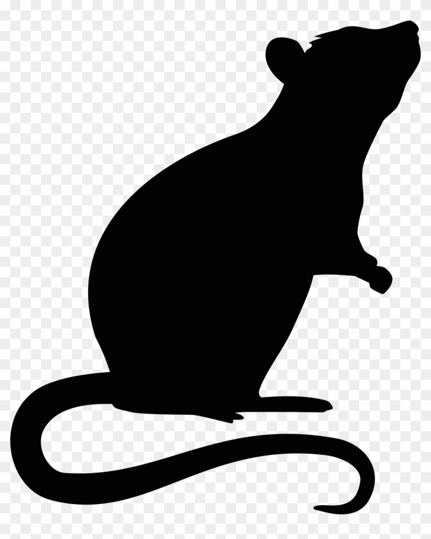 Rat Mouse Rodent - Rat Silhouette Transparent #1219203