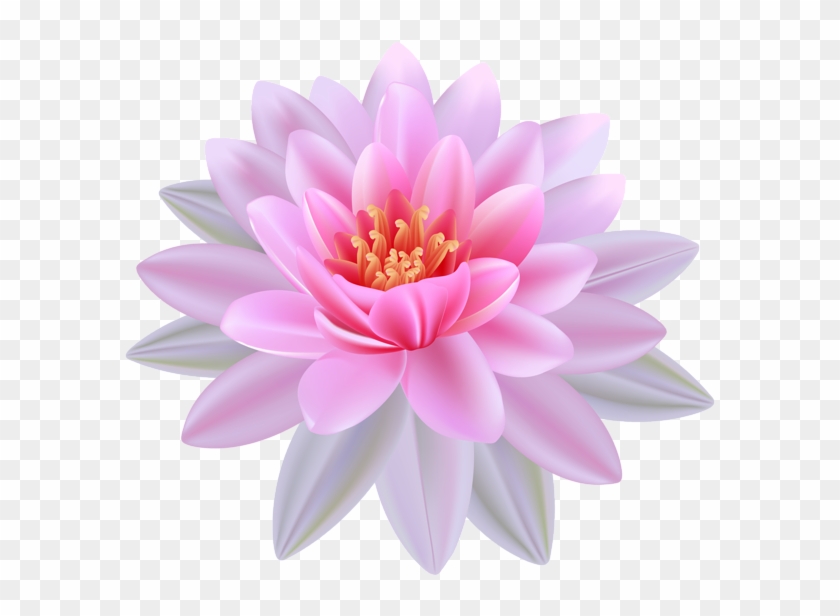 Scope="row" Style="background Color - Water Lily Flower Png #1219442