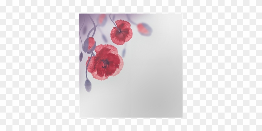 Red Poppies Field And Blue Cornflowers, Floral Background - Common Poppy #1219491