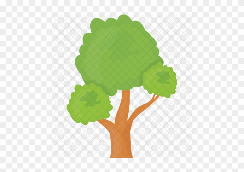 Bonsai Tree Icon - Bonsai #1219504