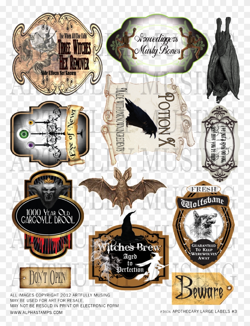Witches Apothecary - Icanvas Bats Gallery Wrapped Canvas Art Print #1219606