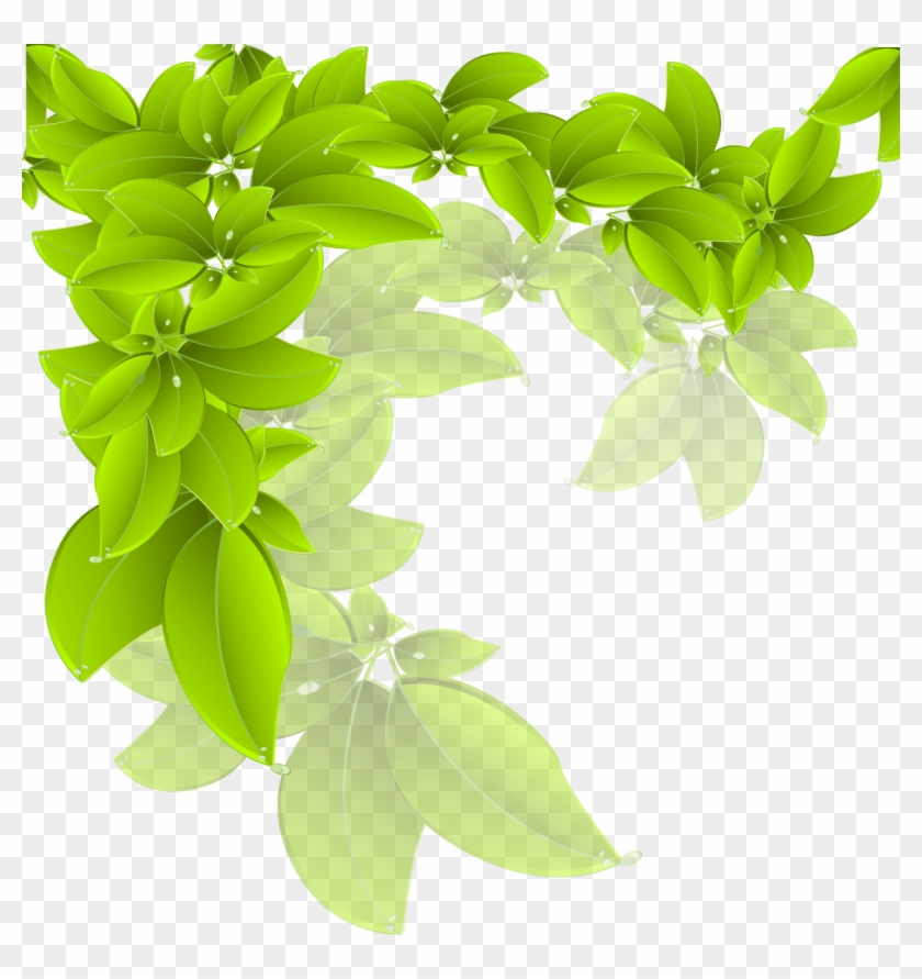 Branch Green Leaf - Vector Leaves Png #1219656