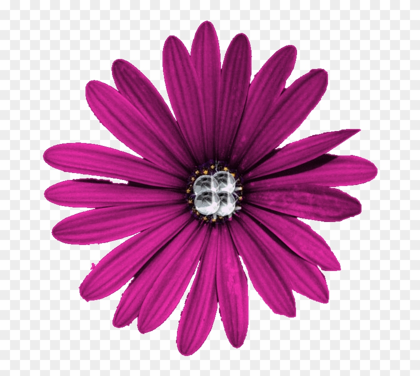 Purple Flower Png High Quality Download - Flower Pngs #1219821