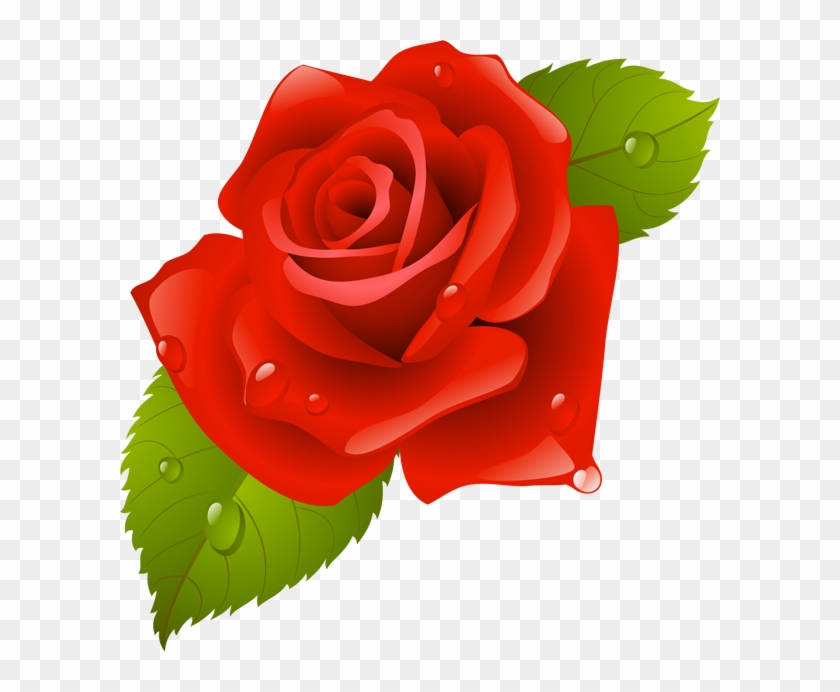 Garden Roses China Rose Beach Rose Flower Clip Art - Rose Frame #1219901