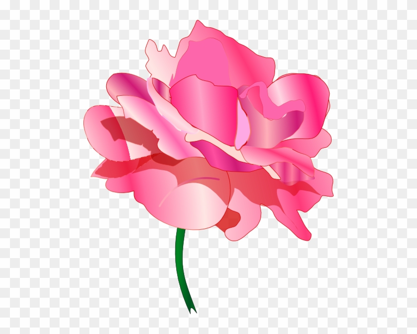 Garden Roses Cabbage Rose Cut Flowers Clip Art - Clip Art #1219904