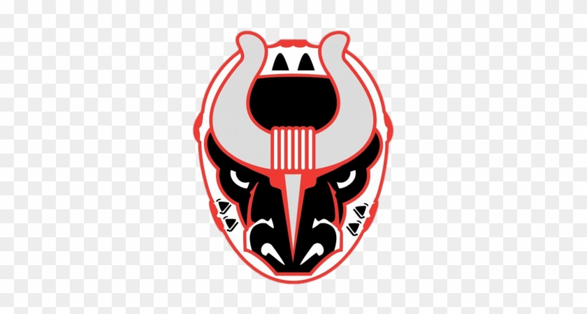 Birmingham Bulls #1220045