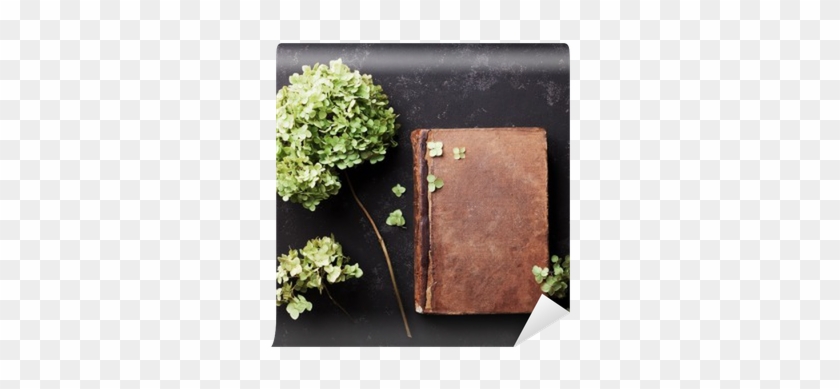 Still Life With Old Book And Dried Flowers Hydrangea - Hydrangea #1220081