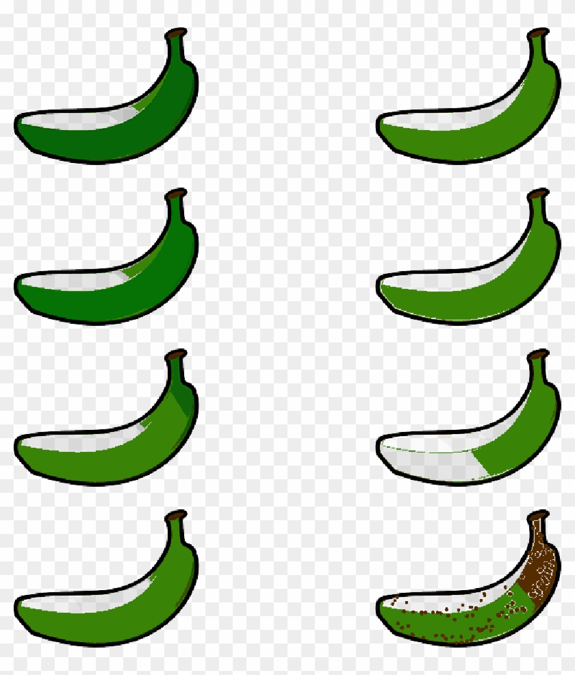 Banana, Degree Of Ripeness, Ripeness, Green, Yellow - Banana, Degree Of Ripeness, Ripeness, Green, Yellow #1220208