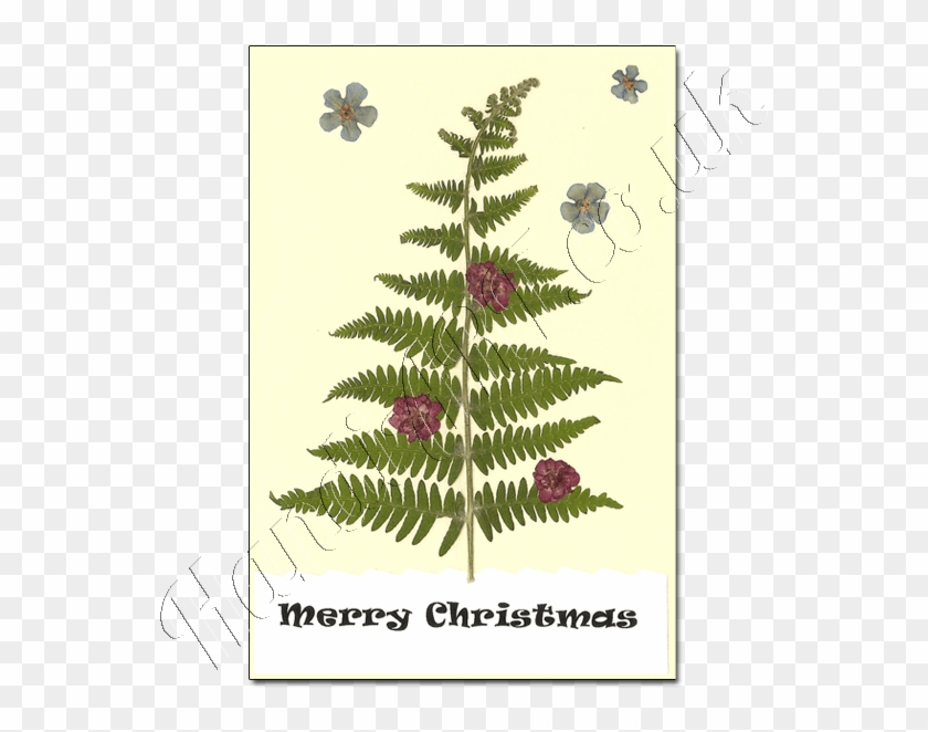 Pressed Flower Christmas Cards - Atheist Christmas #1220214