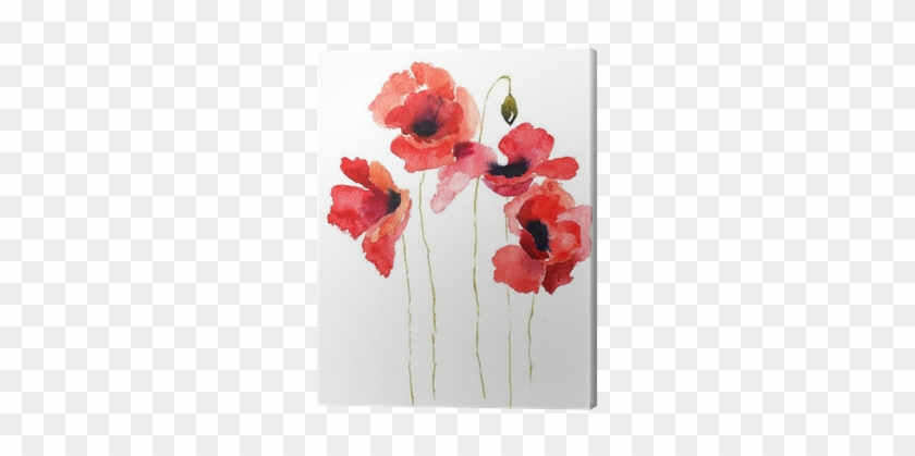 Stylized Poppy Flowers Illustration Canvas Print • - Watercolor Flowers Poppies #1220273