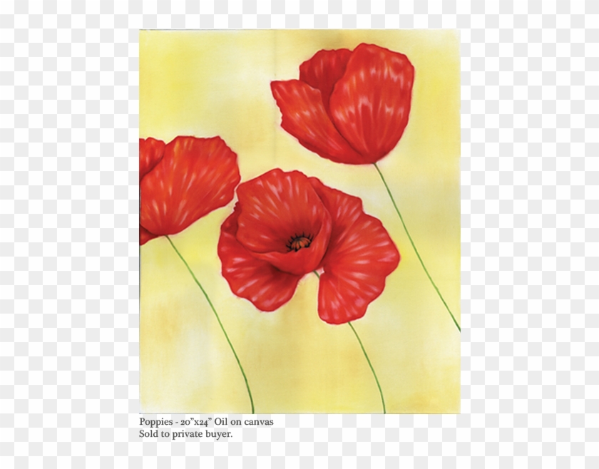 Shannon Toth Home - Corn Poppy #1220305