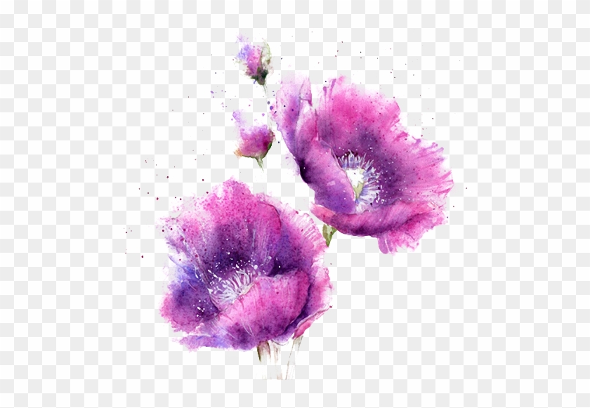 Watercolor Purple Flowers - Watercolor Purple Flowers Png #1220322