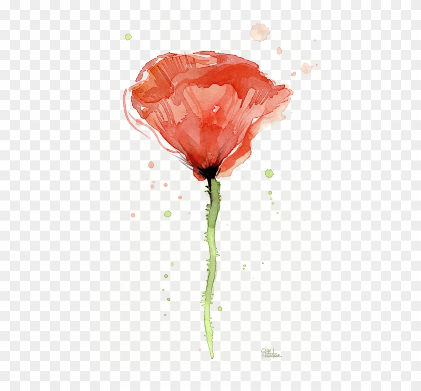 Click And Drag To Re-position The Image, If Desired - Poppy #1220326