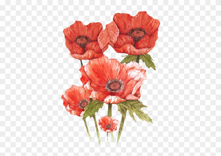 출처 - 3d Knipvel - Bloemen En Vlinders - Voorbeeldkaarten #1220336