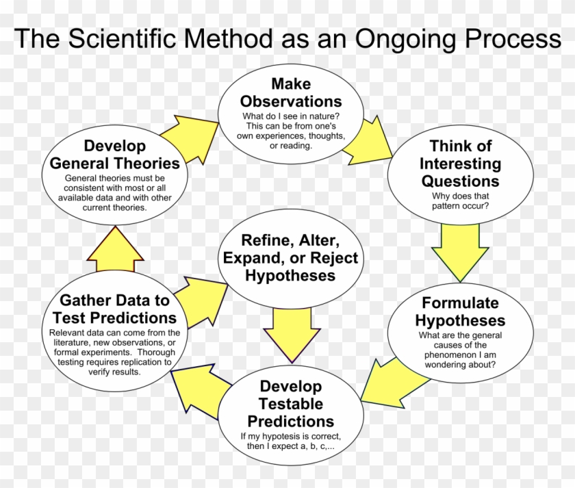 The Scientific Method Essay 1173 Words Bartleby - Scientific Method #1220441