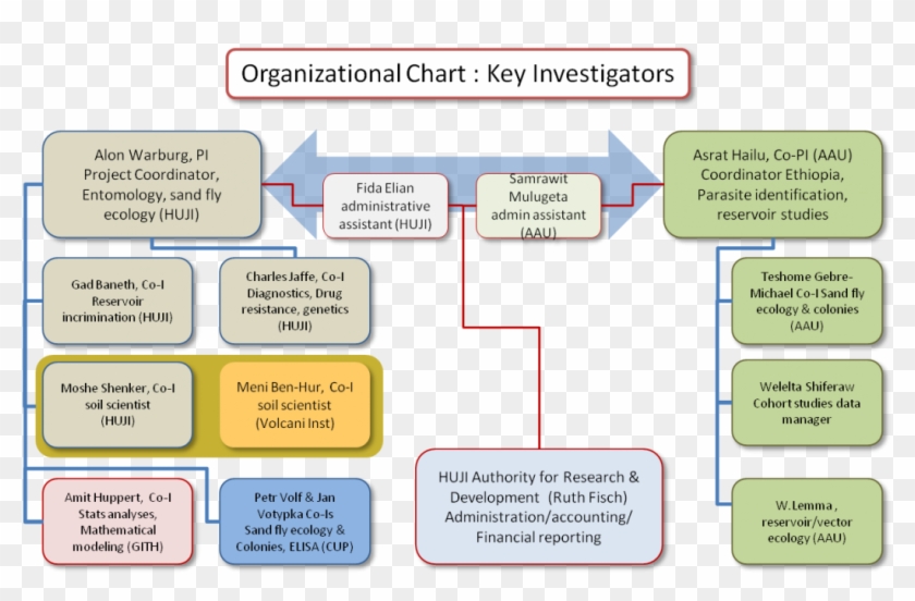 Project Management Organizational Structures Essay - Bill And Melinda Gates Foundation Structure #1220481