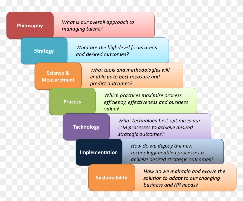 Organizational Dynamics Planning Essay Need Essay Sample - Talent Management Process Steps #1220485