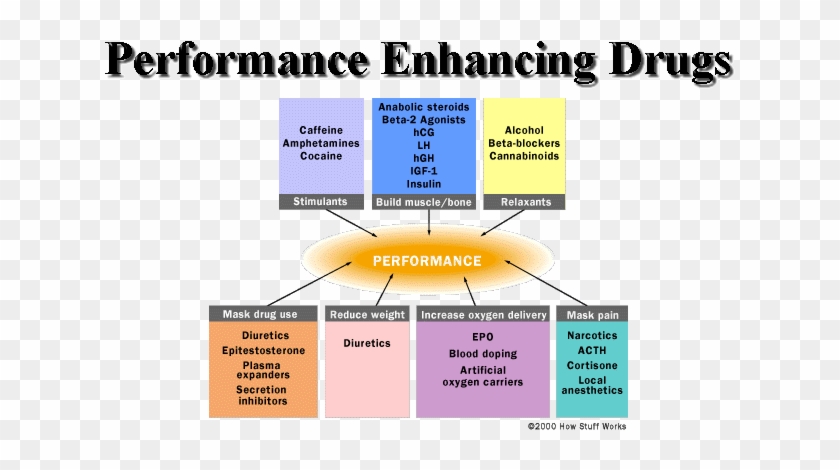 K Tlc Guide To Performance Enhancing Drugs - Types Of Performance Enhancing Drugs #1220511