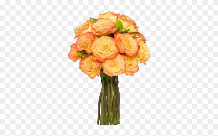 12 Long Stem Orange Roses - Vase Of Orange Flowers Png #1220524